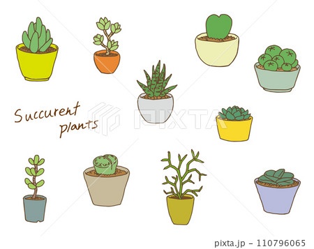多肉植物イラスト 110796065