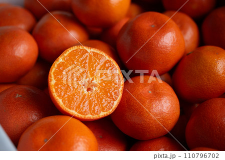 小田原紅早生2 小田原紅早生2 110796702