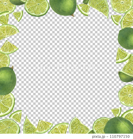 Square frame with juicy ripe limes. Tropical fruits, citrus. Copy space for text. Watercolor summer botanical illustration. For menu, cocktail party, flyer, posters, package design 110797150