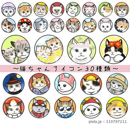 いろいろな表情の猫のアイコン30種類 110797211