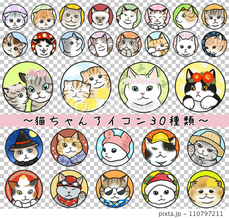 30 types of cat icons with various expressions 110797211