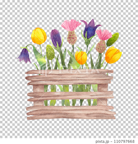 Wooden box with flowers from the garden. Spring botanical composition for Easter. Watercolor simple illustration.Seasonal holiday decoration with tulips,thistles and bluebells.Hand drawn isolated art. 110797668