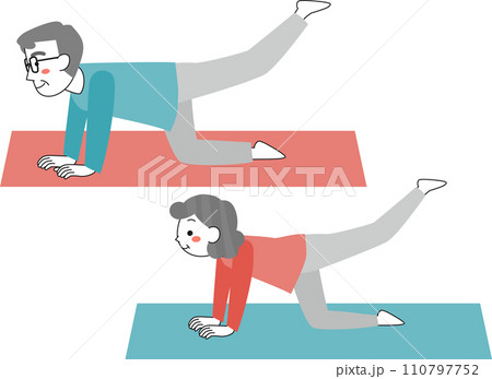 ヨガをするシニア女性とシニア男性 110797752