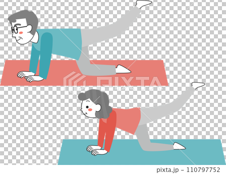 ヨガをするシニア女性とシニア男性 110797752