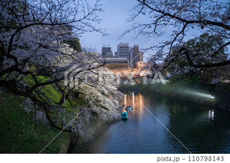 千鳥ヶ淵のライトアップされた夜桜 110798143