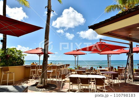 ハワイの休日 110798183