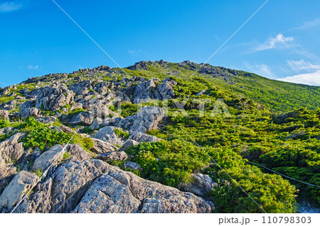 早池峰山 小田越コースの森林帯を抜けた先の登山道 早池峰山 小田越コースの森林帯を抜けた先の登山道 110798303