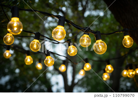 a string of lights hanging on the tree bokeh style background with generative ai 110799070