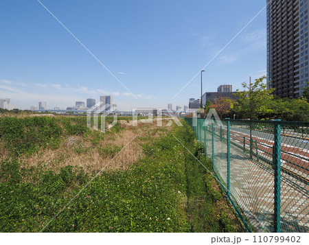 東京 有明 更地 2023年4月 東京 有明 更地 2023年4月 110799402