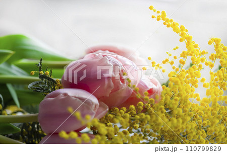 tulips and mimosa on a white background, selective focus 110799829