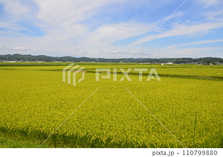 田んぼ（円田盆地／宮城県刈田郡蔵王町） 110799880