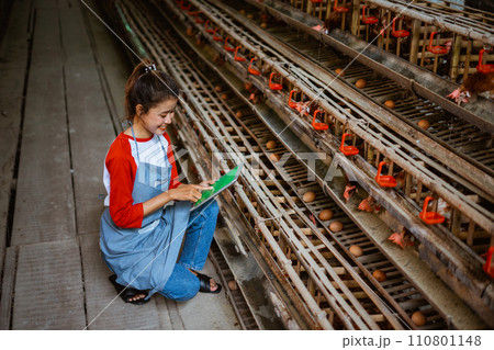 Asian women laying hen farmers work with a digital tablet 110801148