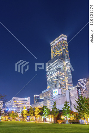 天王寺公園　てんしばから見たあべのハルカスの夜景 110801374