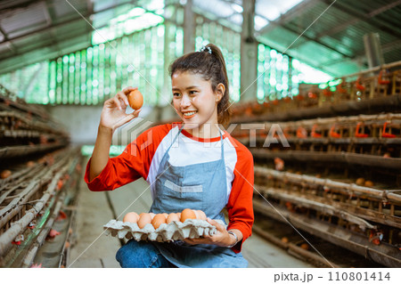 Beautiful female farmer looking and collecting in the tray Beautiful female farmer looking and collecting in the tray 110801414
