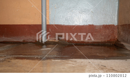 Flooding rainwater, causing damage, peeling paint and mildew. 110802012