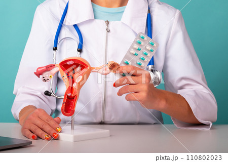 Woman gynecologist demonstrating model of female reproductive system in medical clinic with drugs in hand. Gynecological care and healthy female reproductive system concept. Woman gynecologist demonstrating model of female reproductive system in medical clinic with drugs in hand. Gynecological care and healthy female reproductive system concept. 110802023