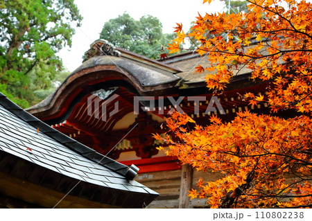 島根県出雲市別所町にある天台宗の寺院・鰐淵寺 110802238