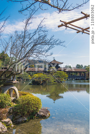 京都 平安神宮神苑の風景 110803062
