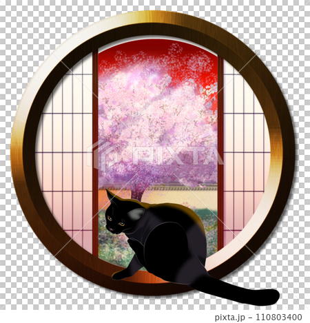 從圓窗看到的夕陽映照下的花園裡的櫻花和貓 110803400