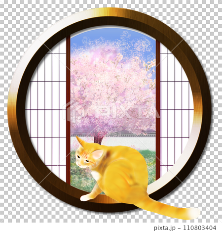 丸窓から見える庭木の桜と猫 110803404