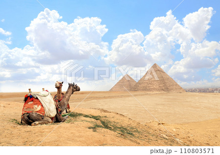 Camels in a colorful horse-clothes resting on the sand near to pyramids, Giza, Cairo, Egypt. Famous Great Pyramids of Chephren and Cheops, Giza pyramid complex (Giza Necropolis) Camels in a colorful horse-clothes resting on the sand near to pyramids, Giza, Cairo, Egypt. Famous Great Pyramids of Chephren and Cheops, Giza pyramid complex (Giza Necropolis) 110803571