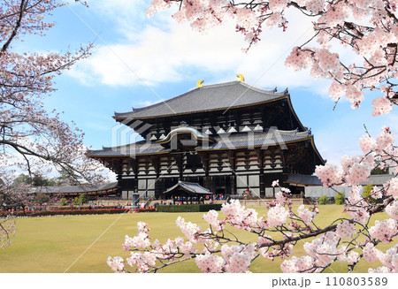 Todaiji Temple and blooming sakura branches. Great Eastern Temple, one of Seven Great Temple. Spring time in Japan. Sakura blossom season. Cherry blossoming season in Asia. Japanese hanami festival Todaiji Temple and blooming sakura branches. Great Eastern Temple, one of Seven Great Temple. Spring time in Japan. Sakura blossom season. Cherry blossoming season in Asia. Japanese hanami festival 110803589