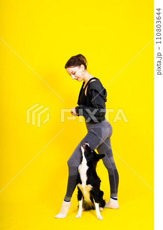 Beautiful female with border collie in studio, yellow and red background Beautiful female with border collie in studio, yellow and red background 110803644