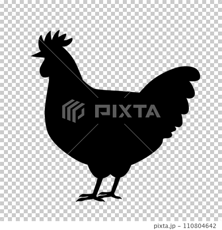 雞黑色剪影 110804642
