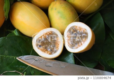 パッションフルーツミズレモン パッションフルーツミズレモン 110804674