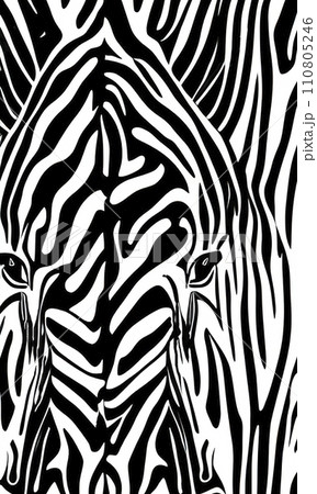 black and white abstract zebra pattern black and white abstract zebra pattern 110805246