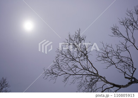 厳冬期の薄曇りの太陽 110805913