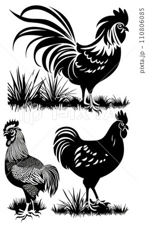 close-up rooster drawing. vector illustration. 110806085