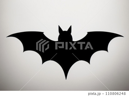 black and white drawing with bat. vector illustration black and white drawing with bat. vector illustration 110806248