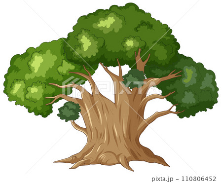 Majestic Tree with Lush Green Canopy 110806452