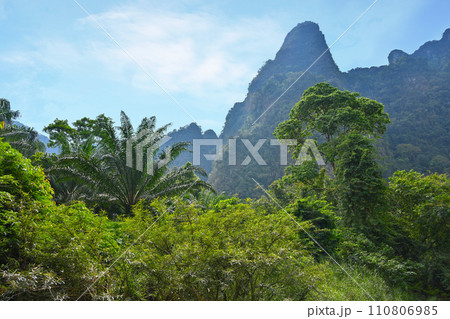 Beautiful scenery of Thai nature in Khao Lak province Beautiful scenery of Thai nature in Khao Lak province 110806985