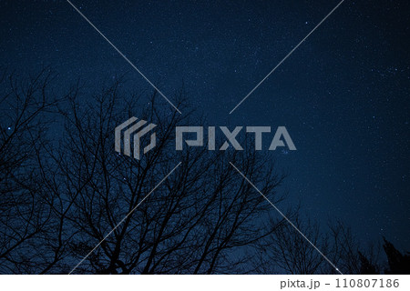 県立ぐんま天文台の星空 県立ぐんま天文台の星空 110807186