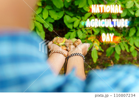National Agriculture Day With a Handful of Freshly Harvested Nuts in a Lush Garden 110807234