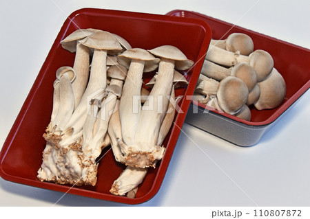 ハタケシメジ（丹波しめじ） 110807872