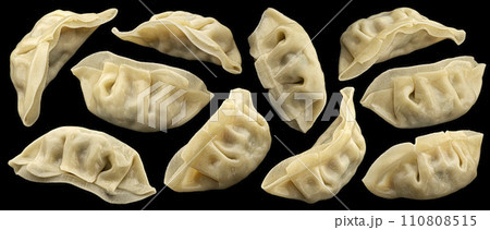 Chinese Gyoza dumplings isolated on black background, package design elements 110808515
