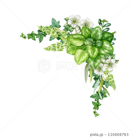Green leaf floral lush decor. Watercolor vintage style painted illustration. Hand drawn floral botanical decoration element. Green leaves, garden flowers natural decor element. White background 110808763