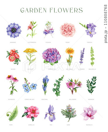 Garden flowers vintage style set. Watercolor illustration painted collection. Hand drawn different painted garden flowers, herbs and greens. Various floral vintage style element set. White background 110808768