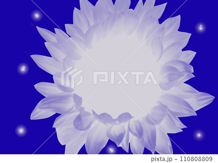 background with yellow flowers 110808809