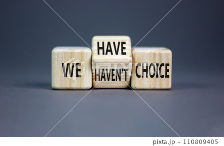 We have or not choice symbol. Concept word We have or have not choice on beautiful wooden cubes. Beautiful grey table grey background. Business and we have or not choice concept. Copy space. We have or not choice symbol. Concept word We have or have not choice on beautiful wooden cubes. Beautiful grey table grey background. Business and we have or not choice concept. Copy space. 110809405