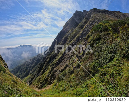 ニぺソツ山の登山道から見上げる天狗岳 ニぺソツ山の登山道から見上げる天狗岳 110810029