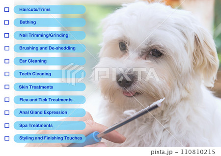 Check list of services offered by the salon for dogs concept. 110810215