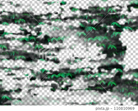 tree with green leaves, snow-covered green hedge with mounds of snow on them in the night gloom, 110810969