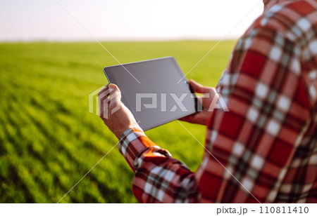 Tablet in the hands of a farmer. Smart farm. Farmer checking his crops on an agricultural field. 110811410