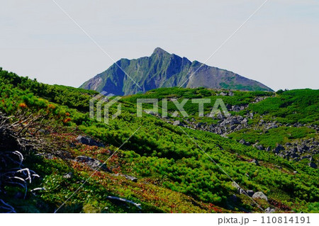 稜線登山道からのニぺソツ山頂上 稜線登山道からのニぺソツ山頂上 110814191