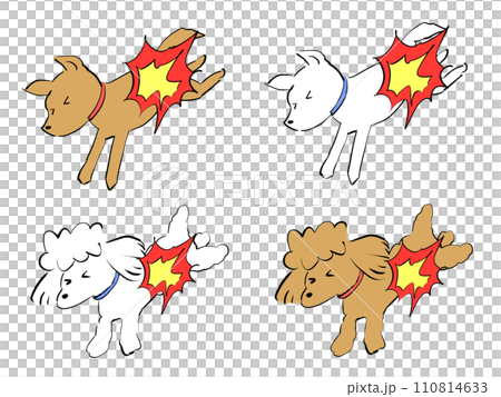 Illustration of a dog having an accident 110814633