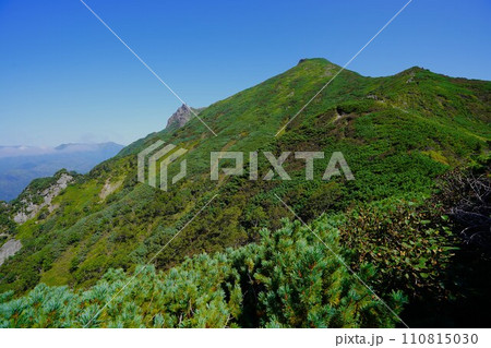 ニぺソツ山登山道からの天狗岳への稜線 ニぺソツ山登山道からの天狗岳への稜線 110815030